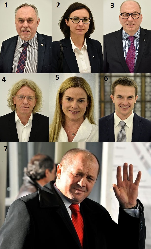 Семеро польских депутатов, выступивших за сохранение исторической памяти. Коллаж "НьюсБалт".